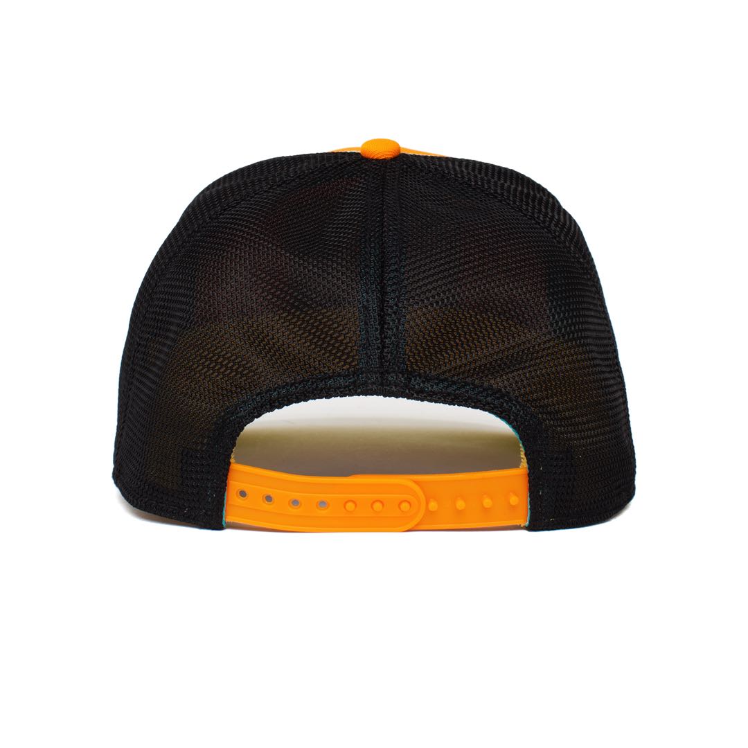 https://cdn.shopify.com/s/files/1/0697/5222/6066/deleted/files/101-0166-ORA-B01_2d88cb4d-b511-495d-b113-c652ae996aae.jpg?v=1737550227