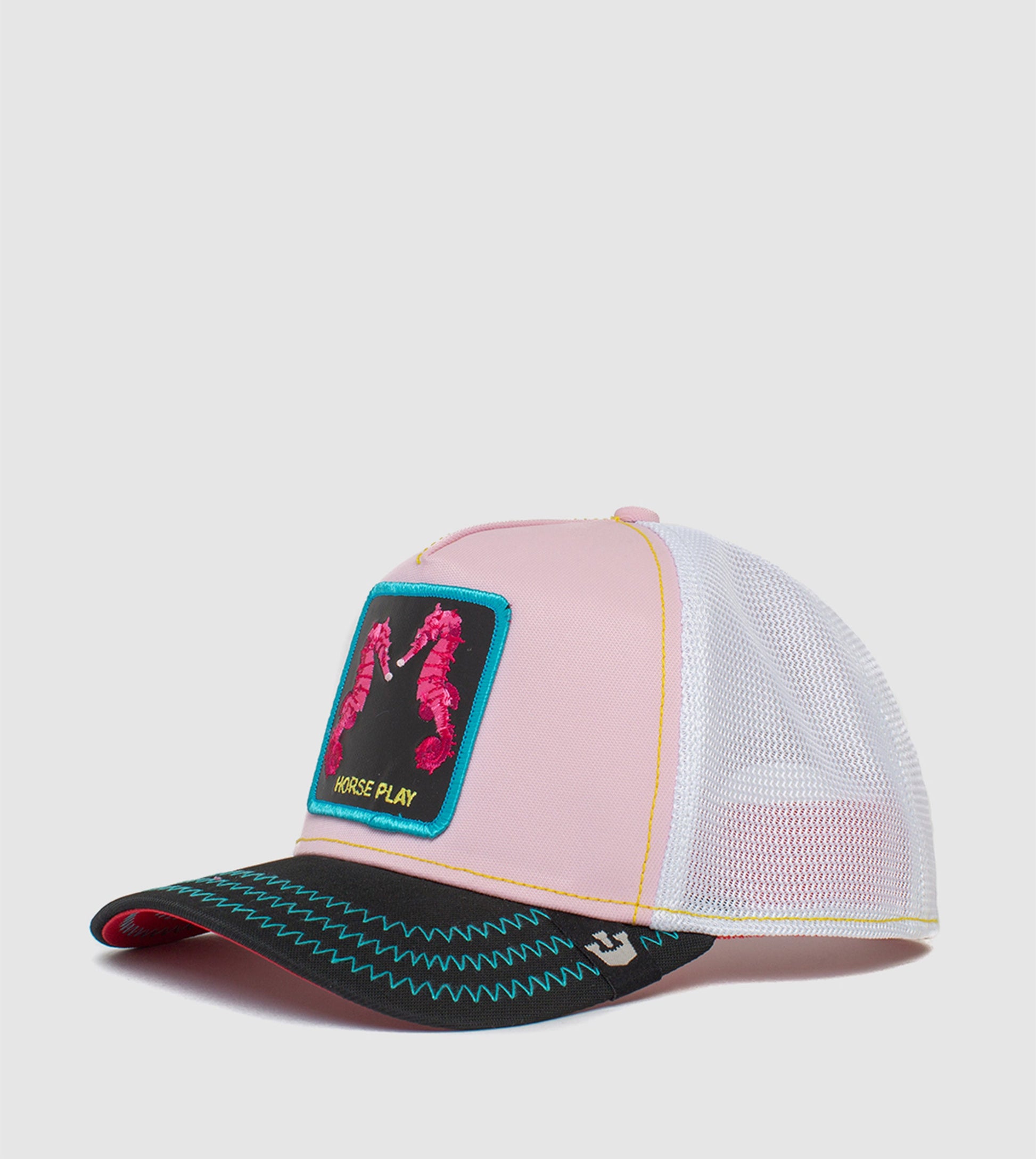 https://cdn.shopify.com/s/files/1/0697/5222/6066/deleted/files/101-0168-PIN-L01.jpg?v=1760901448