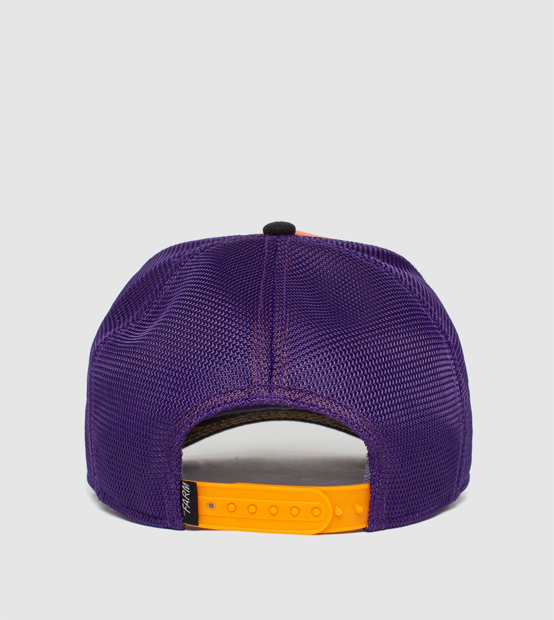 https://cdn.shopify.com/s/files/1/0697/5222/6066/deleted/files/101-0366-PUR-B01.jpg?v=1760901839