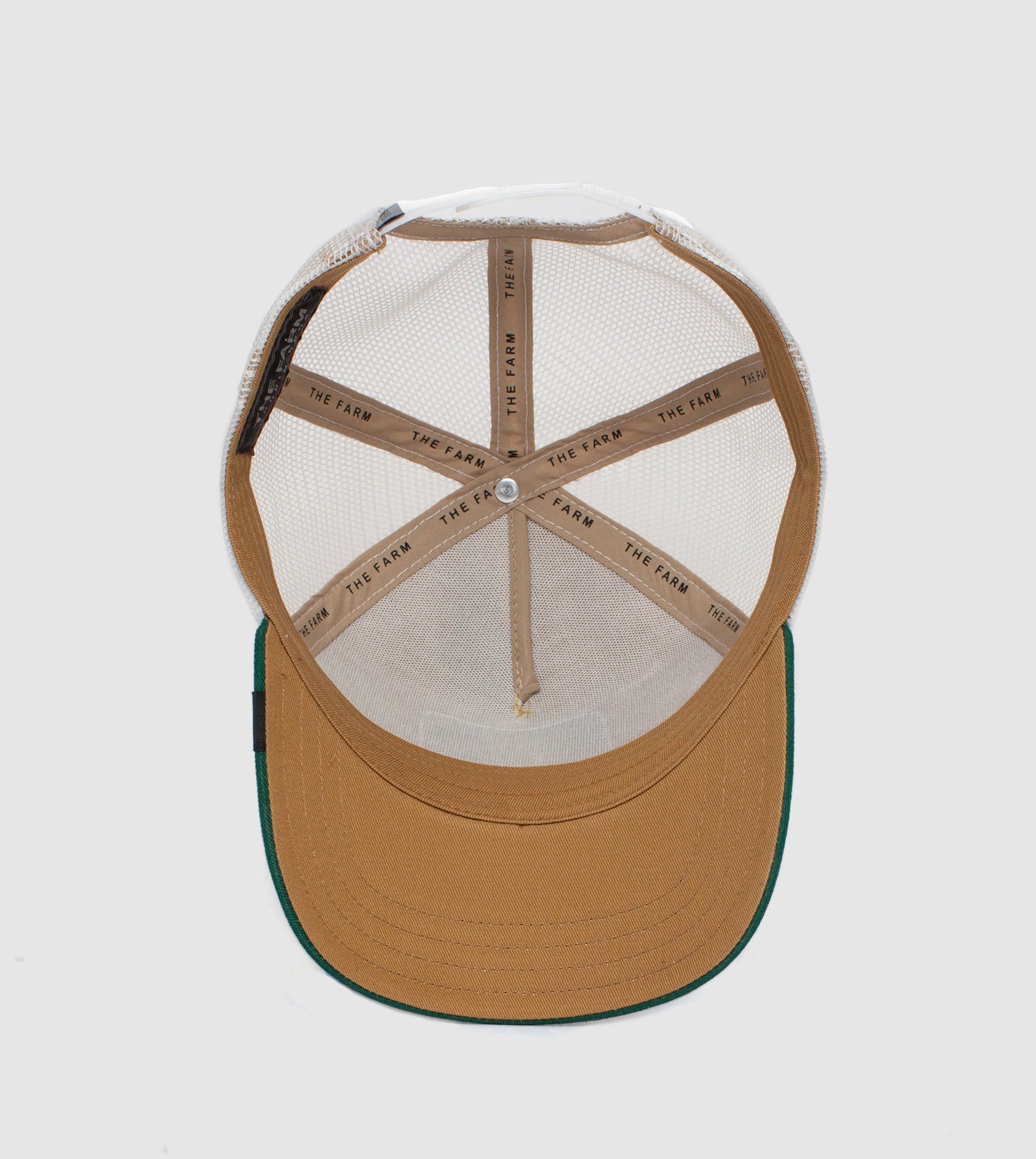 https://cdn.shopify.com/s/files/1/0697/5222/6066/deleted/files/101-0378-YEL-U01.jpg?v=1760902123