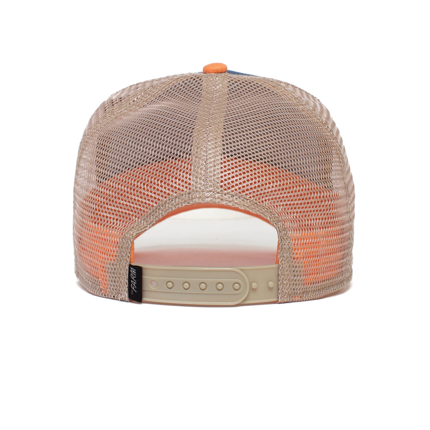 Goorin Bros The Panther in Blue & Coral Color