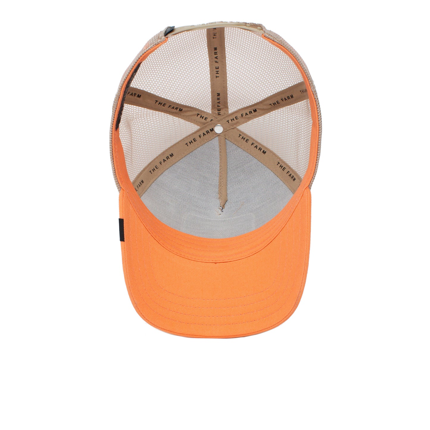 Goorin Bros The Panther in Blue & Coral Color