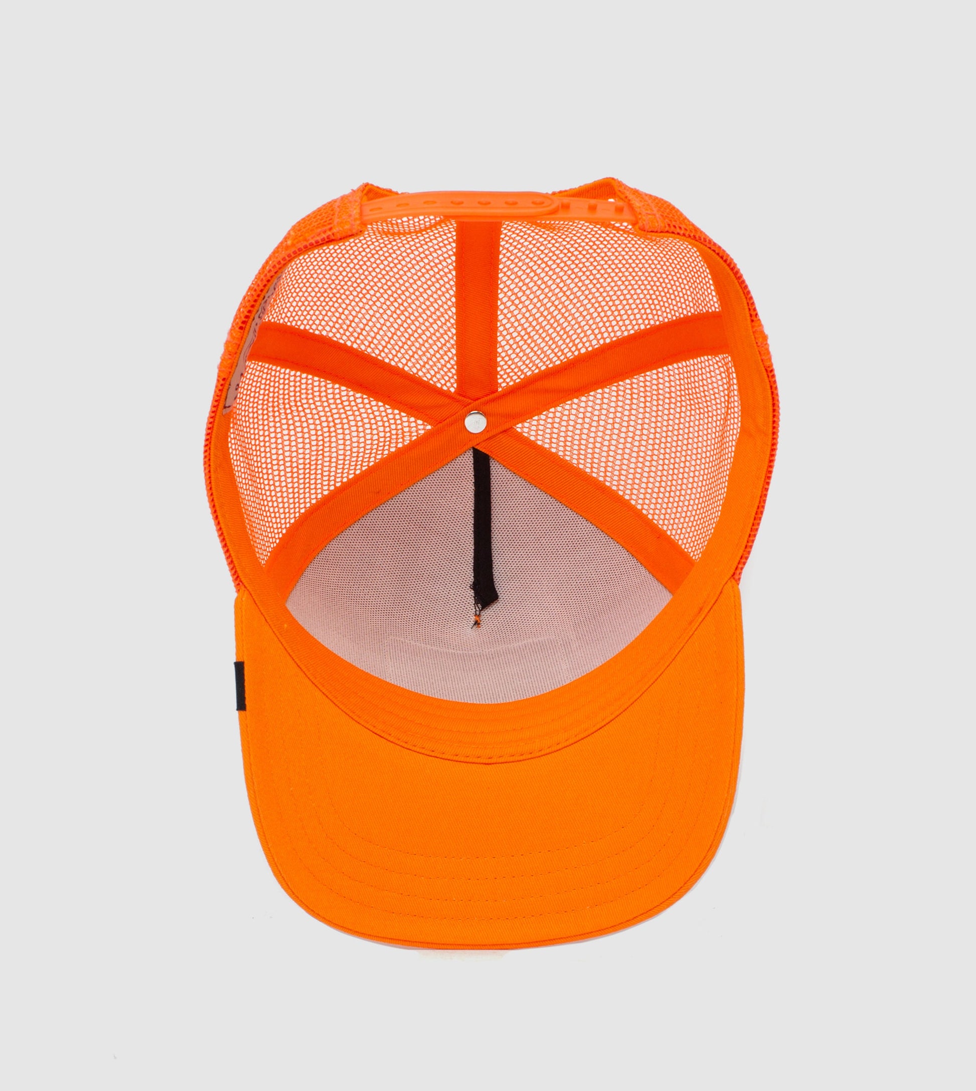 https://cdn.shopify.com/s/files/1/0697/5222/6066/deleted/files/101-0398-ORA-U01.jpg?v=1760903745