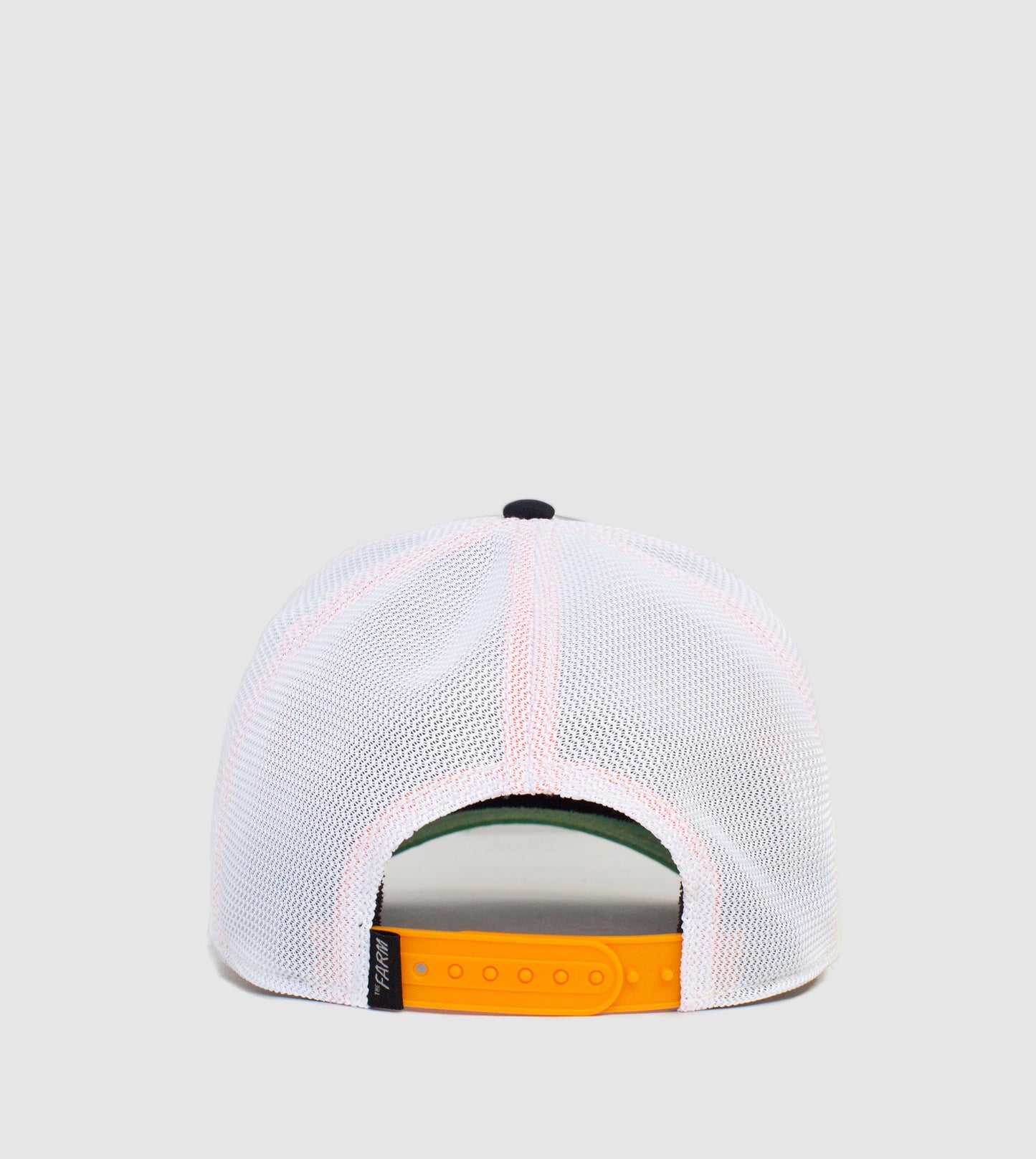 https://cdn.shopify.com/s/files/1/0697/5222/6066/deleted/files/101-1001-PUR-B01.jpg?v=1760906085