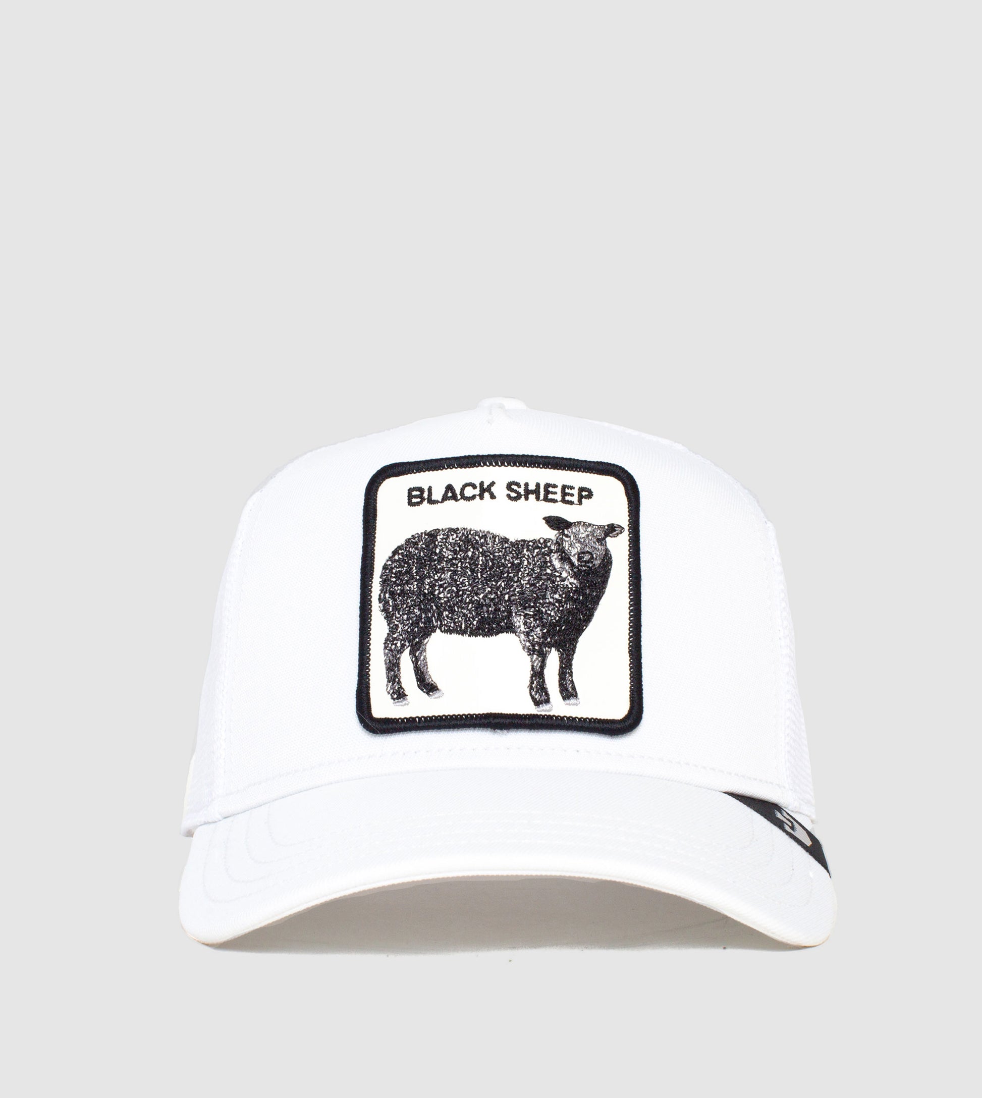 https://cdn.shopify.com/s/files/1/0697/5222/6066/files/101-1065-PLA-F01.jpg?v=1760906635