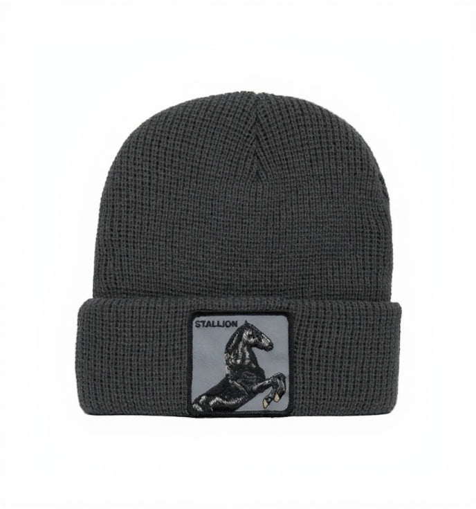Goorin Bros Stallion Beanies