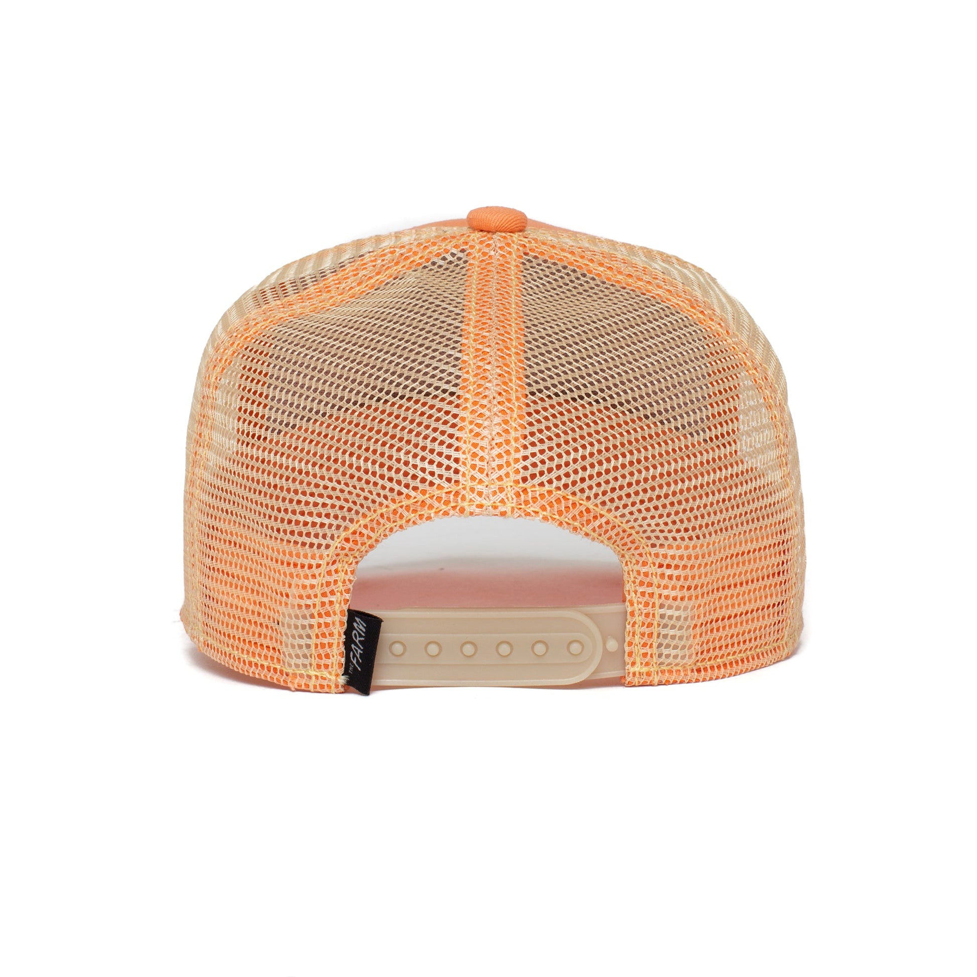 https://cdn.shopify.com/s/files/1/0697/5222/6066/deleted/files/201-0037-COR-B01.jpg?v=1761033251