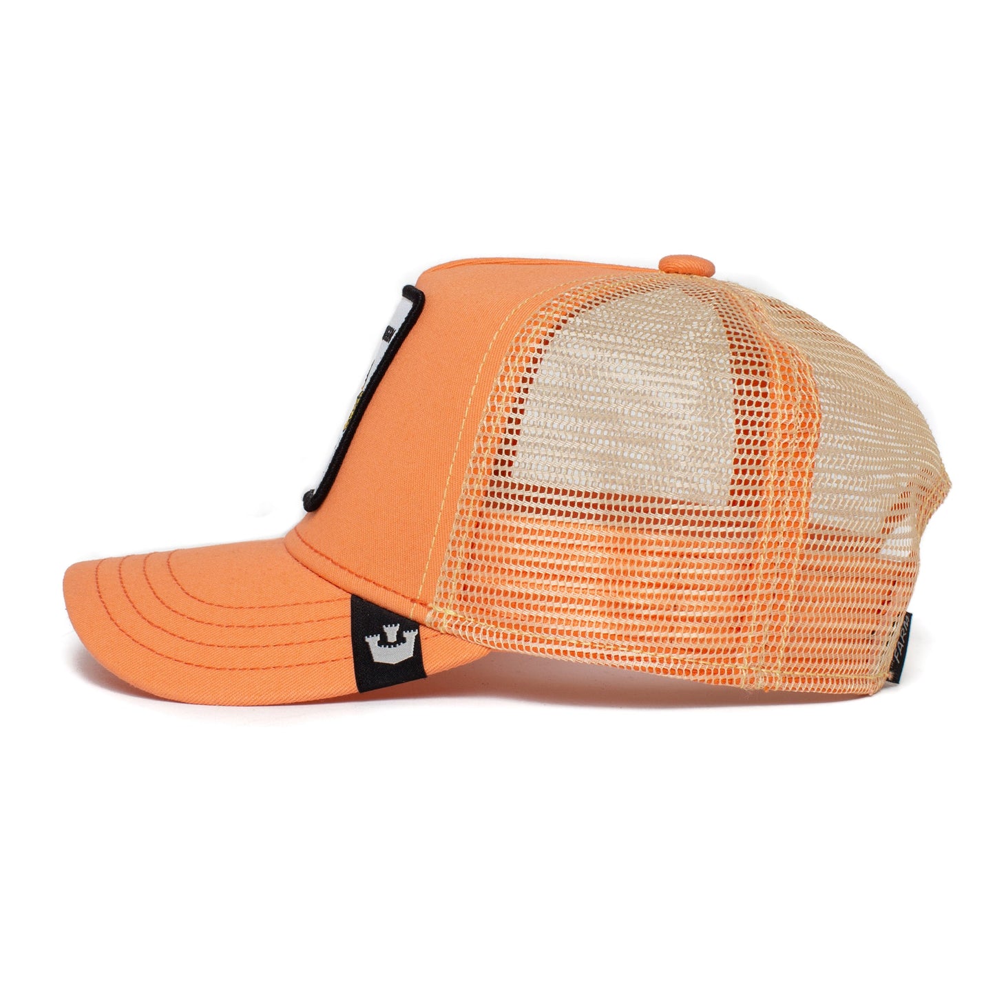 https://cdn.shopify.com/s/files/1/0697/5222/6066/deleted/files/201-0037-COR-S01.jpg?v=1761033251