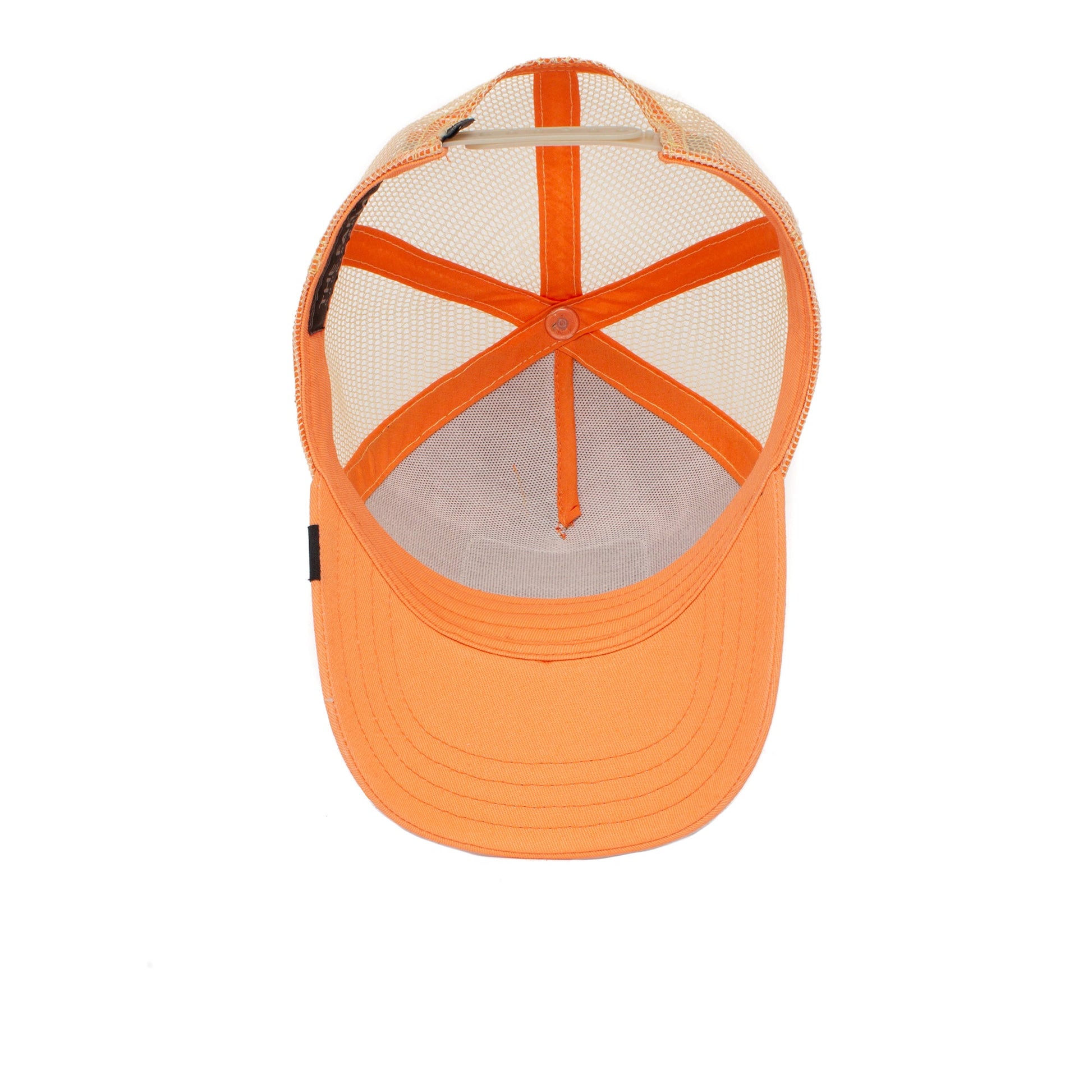 https://cdn.shopify.com/s/files/1/0697/5222/6066/deleted/files/201-0037-COR-U01.jpg?v=1761033247