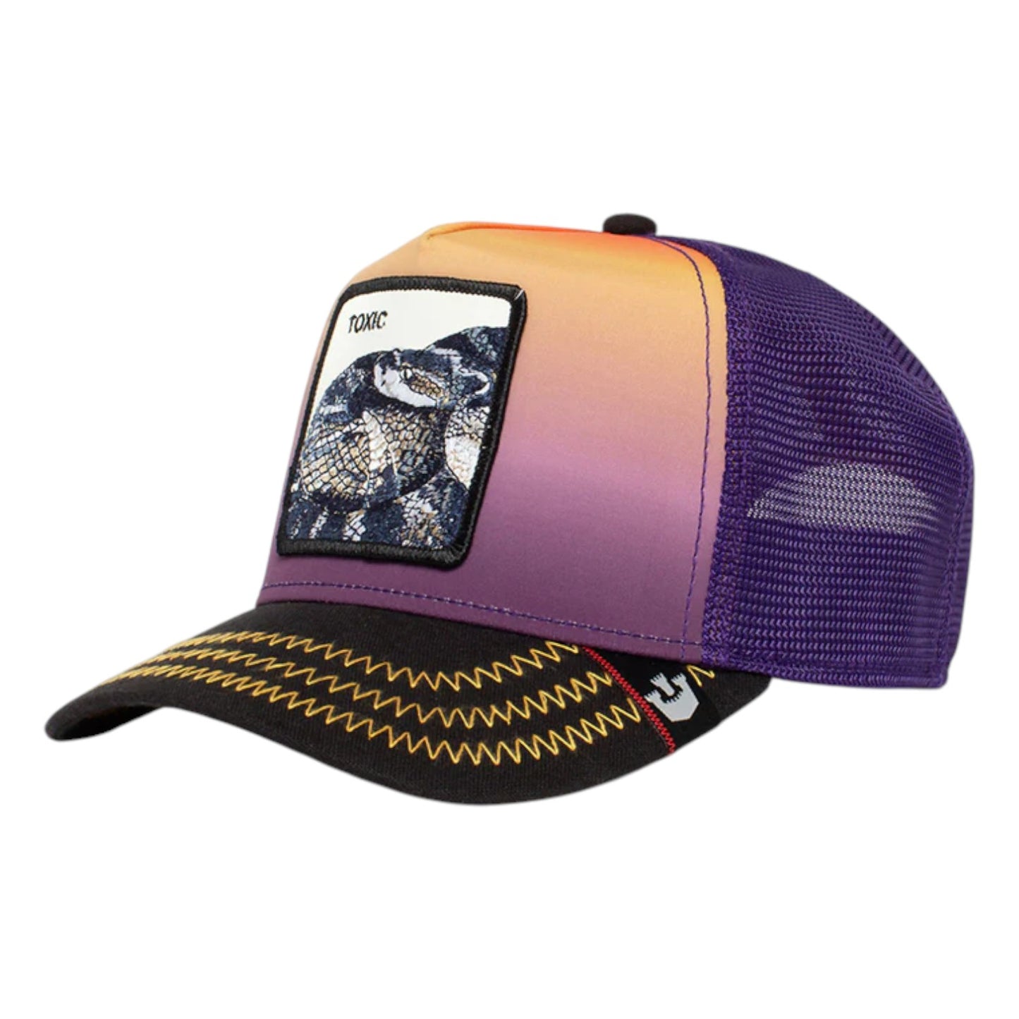 Goorin Bros Toxic in Purple Color