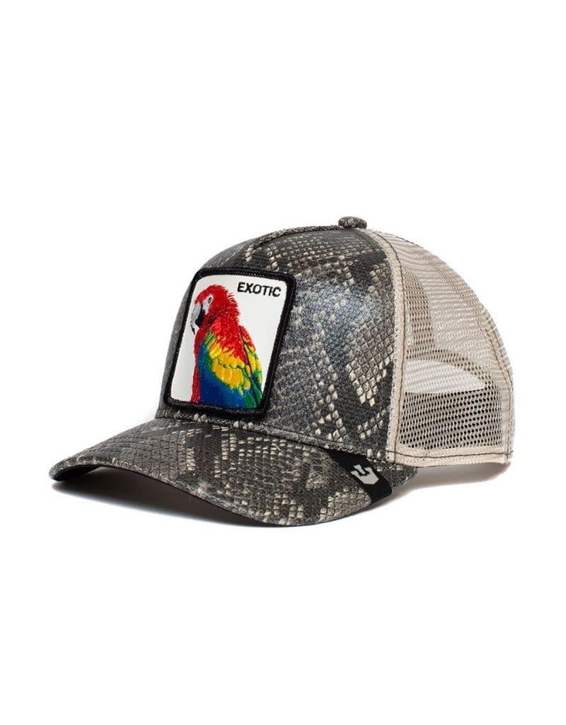 Margaritaville Macaw