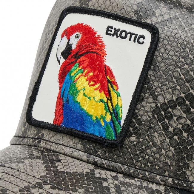 Margaritaville Macaw