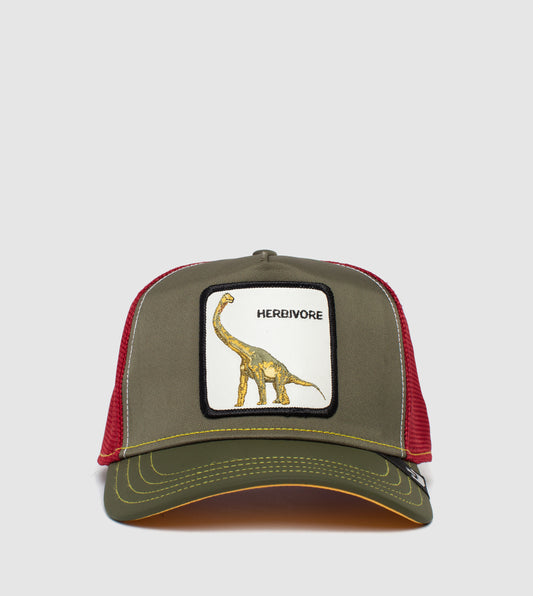 https://cdn.shopify.com/s/files/1/0697/5222/6066/files/101-0146-OLI-F01.jpg?v=1760901406