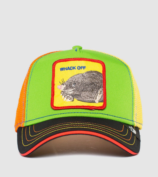 https://cdn.shopify.com/s/files/1/0697/5222/6066/files/101-0281-GRE-F01.jpg?v=1760901592