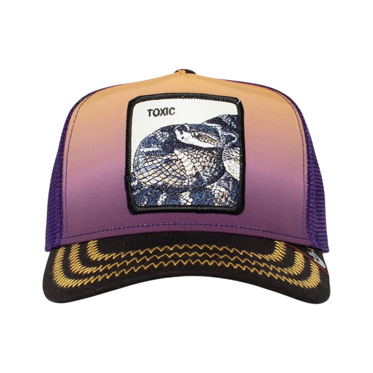 Goorin Bros Toxic in Purple Color