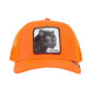 Goorin Bros The Panther in Orange