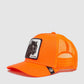 Goorin Bros The Panther in Orange