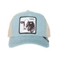 Goorin Bros Cash Cow