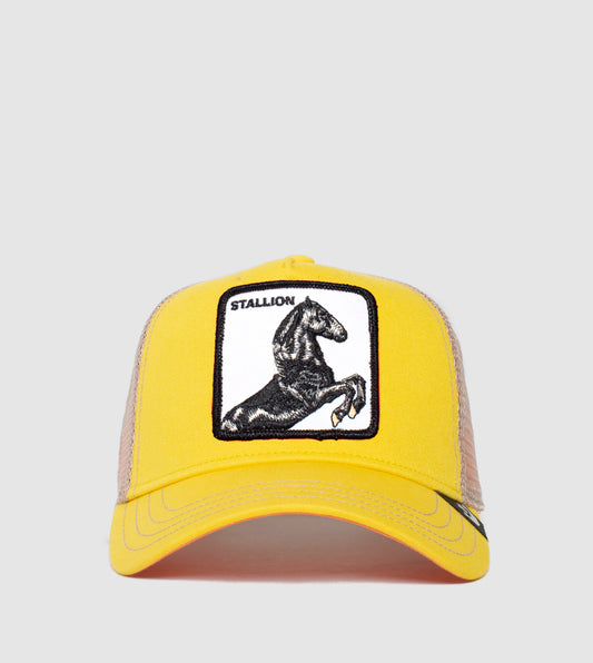 https://cdn.shopify.com/s/files/1/0697/5222/6066/files/101-0393-YEL-F01_7a83cce5-2253-4a87-9994-9ceff3bcff8b.jpg?v=1760903675