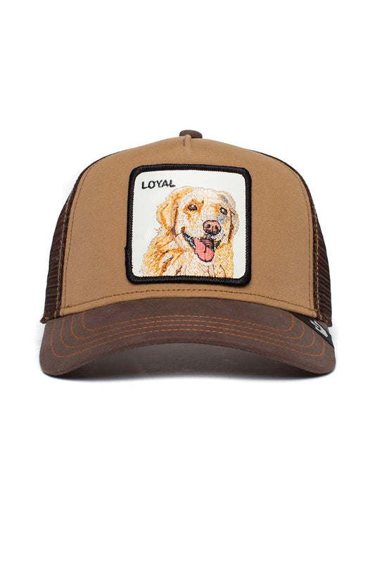 Goorin Bros The Loyal Dog Brown