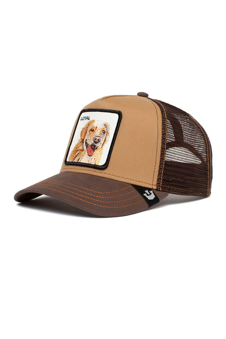 Goorin Bros The Loyal Dog Brown