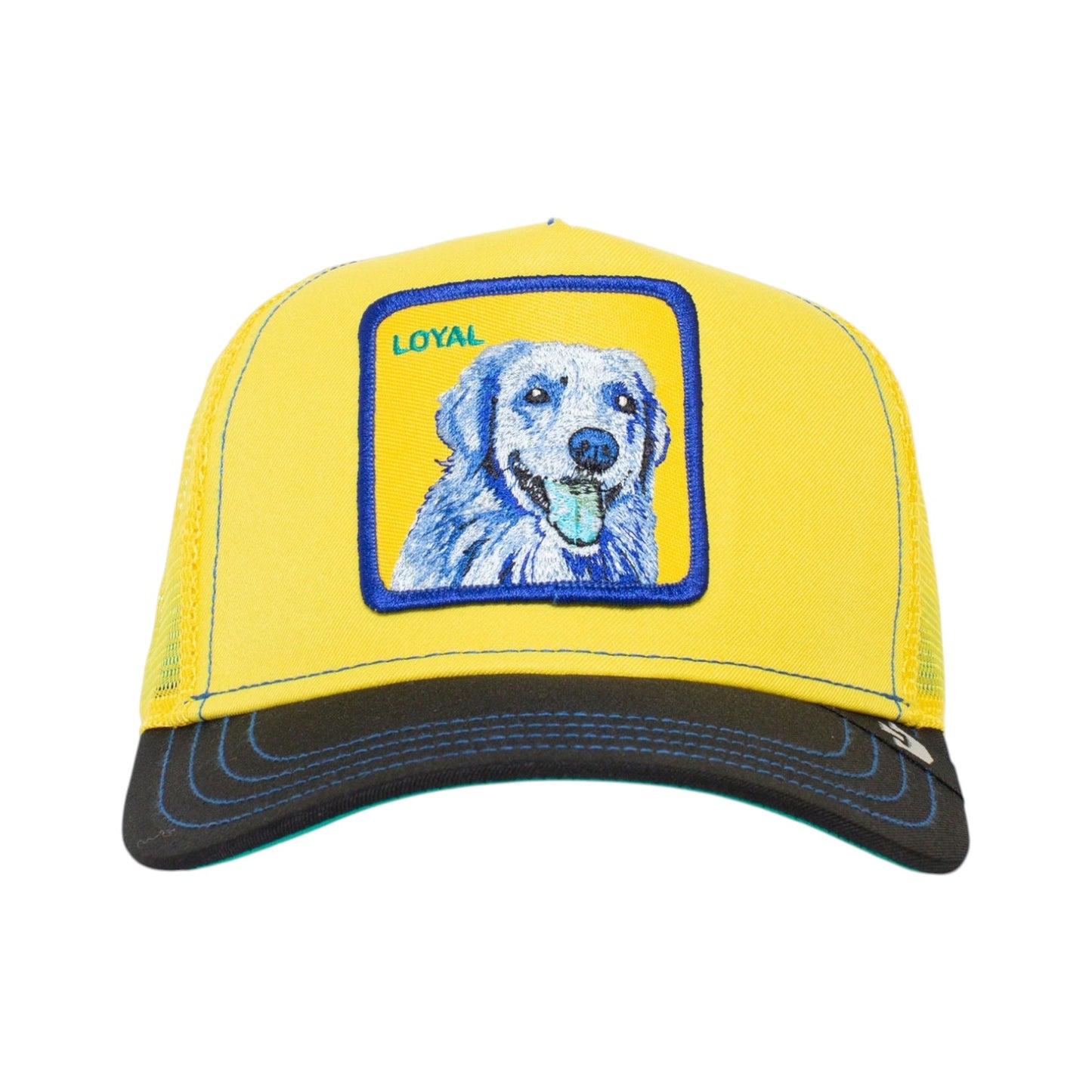 Goorin Bros Doggy Trip