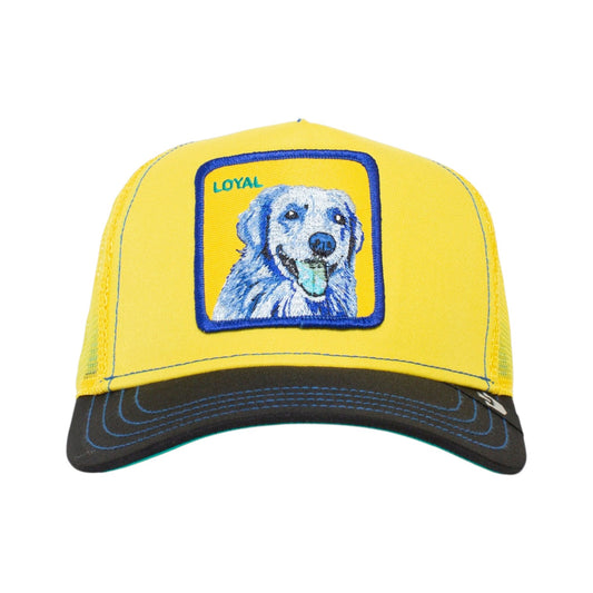 Goorin Bros Doggy Trip