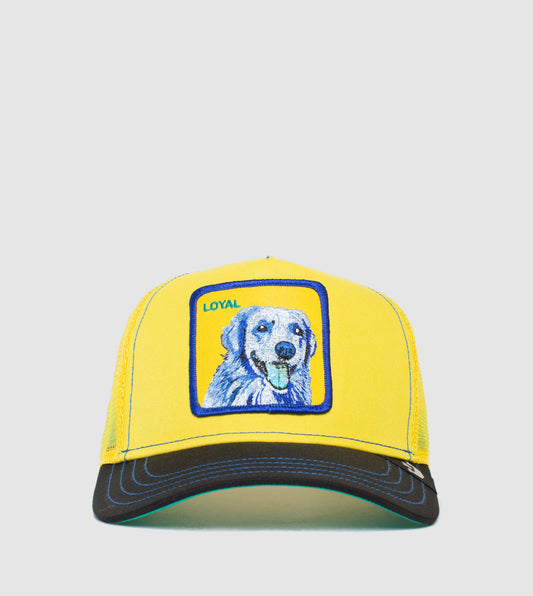 https://cdn.shopify.com/s/files/1/0697/5222/6066/files/101-1037-YEL-F01_1dc0e7cb-8eb7-4c90-9b68-e957ace1db7b.jpg?v=1760906357