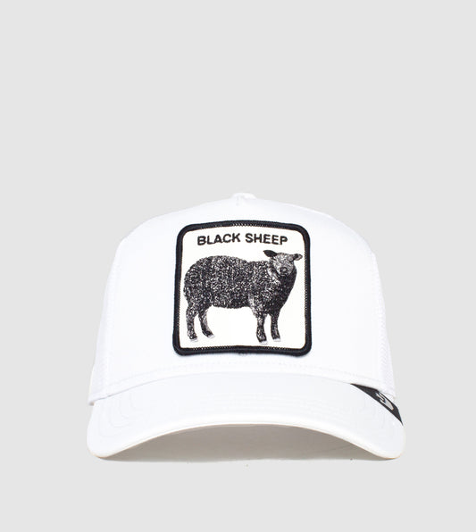 https://cdn.shopify.com/s/files/1/0697/5222/6066/files/101-1065-PLA-F01.jpg?v=1760906635