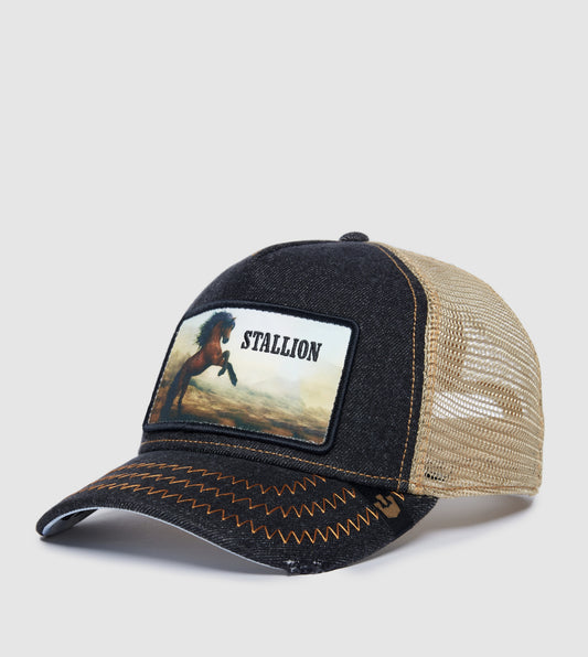 https://cdn.shopify.com/s/files/1/0697/5222/6066/files/101-1232-CHA-L01.jpg?v=1760908617