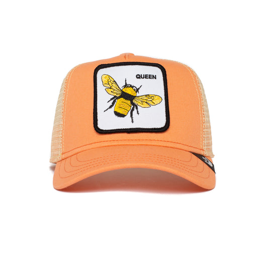 https://cdn.shopify.com/s/files/1/0697/5222/6066/files/201-0037-COR-F01.jpg?v=1761033251