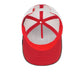 Goorin Bros KIDS Little Raptor Cap Teal
