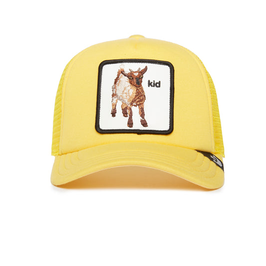https://cdn.shopify.com/s/files/1/0697/5222/6066/files/201-2052-YEL-F01.jpg?v=1760910342