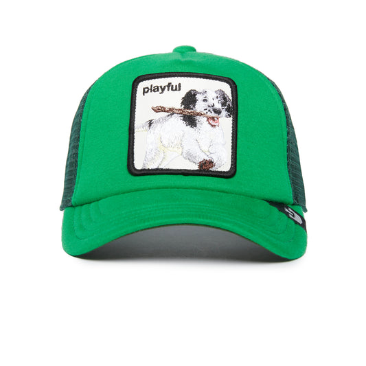 https://cdn.shopify.com/s/files/1/0697/5222/6066/files/201-2056-GRE-F01.jpg?v=1760910490