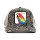 Margaritaville Macaw