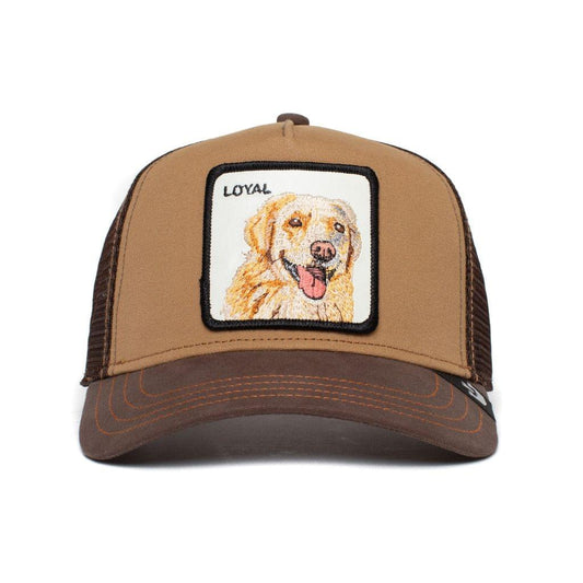 Goorin Bros The Loyal Dog Brown